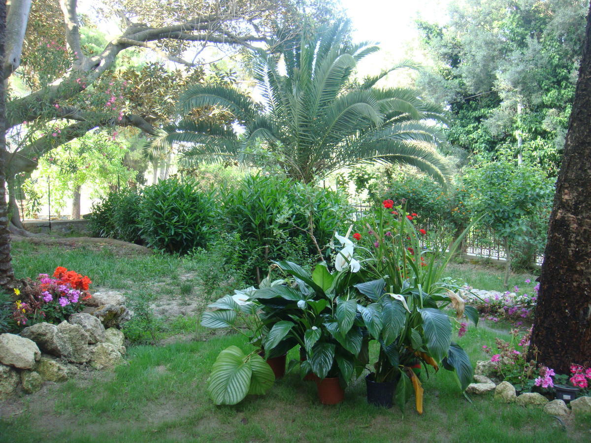 Villa La Cucullera Catanzaro Kültér fotó